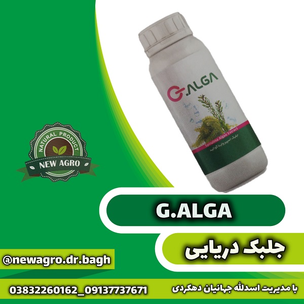 جلبک