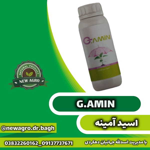 پایا تجارت