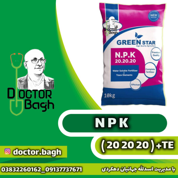 Npk 20 20 20